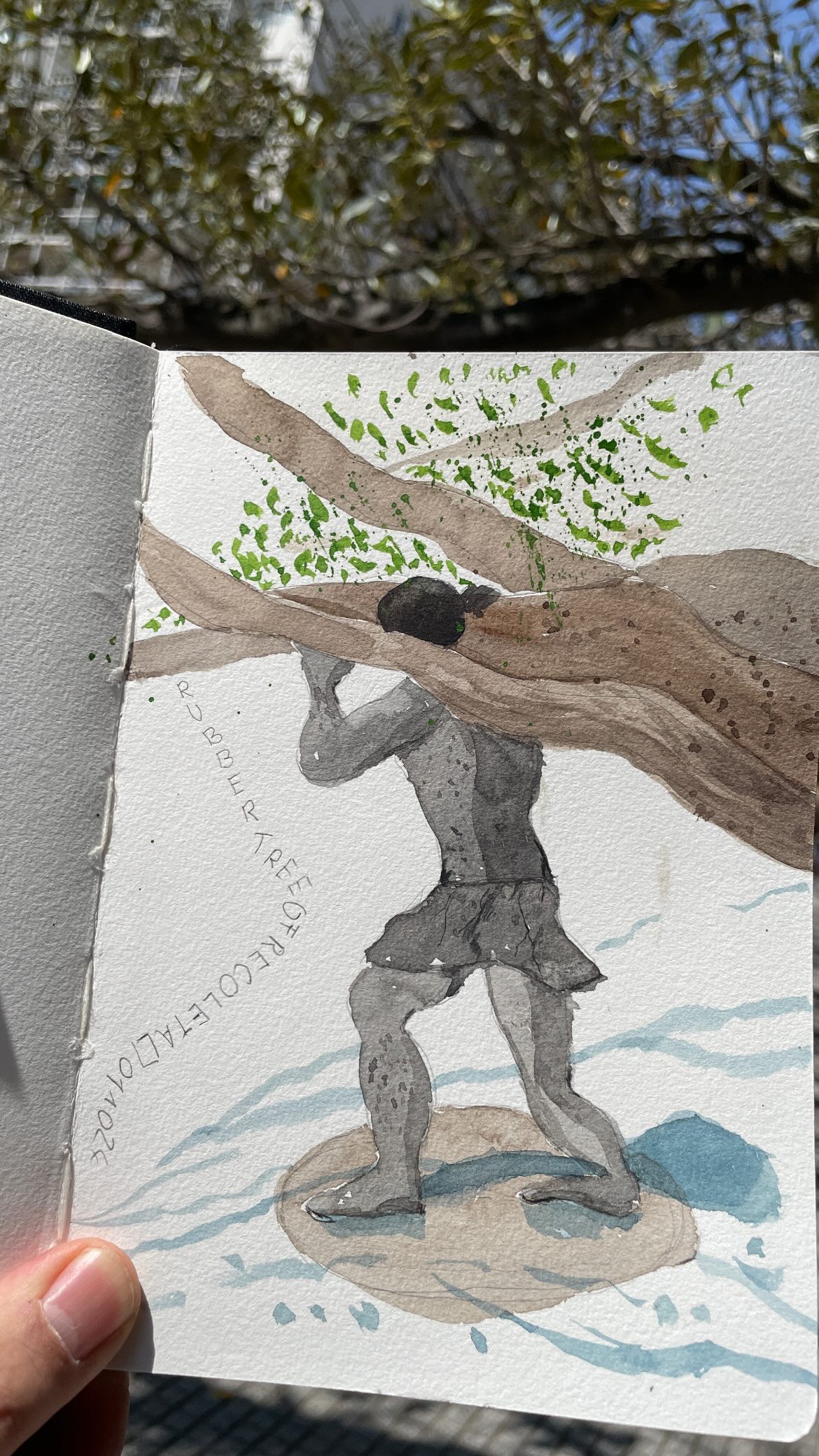 Eine Person auf einem Felsen steht und einen großen Ast mit grünen Blättern hochhebt. Im Hintergrund sind Sonnenlicht und Äste zu erkennen.